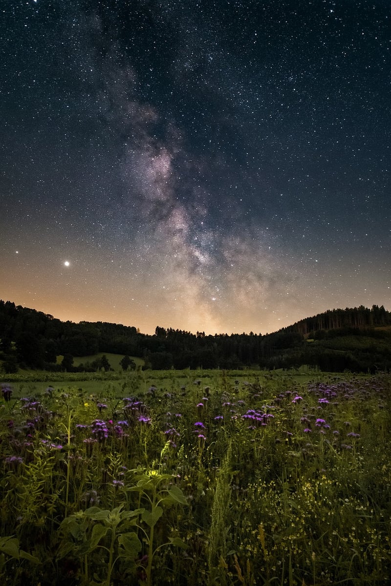 Galactic RSVPs
